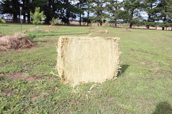 oaten hay for sale - compact oaten hay bale