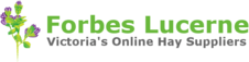 Forbes Lucerne Logo